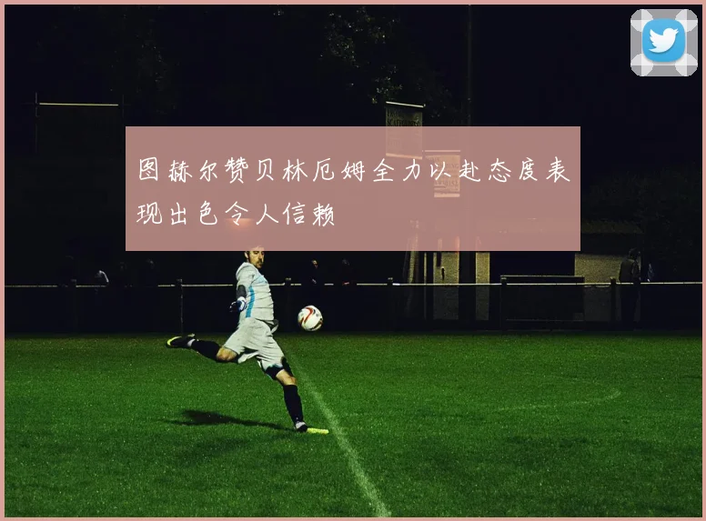 图赫尔赞贝林厄姆全力以赴态度表现出色令人信赖